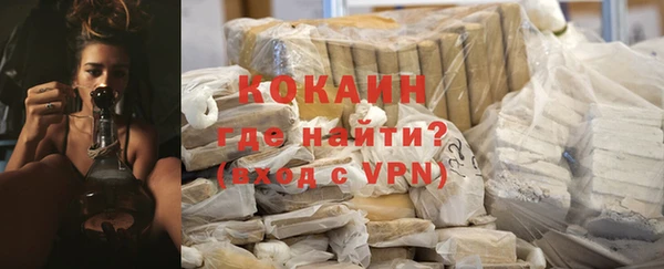 прущие грибы Балабаново