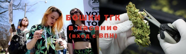 прущие грибы Балабаново