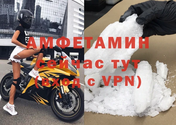 прущие грибы Балабаново