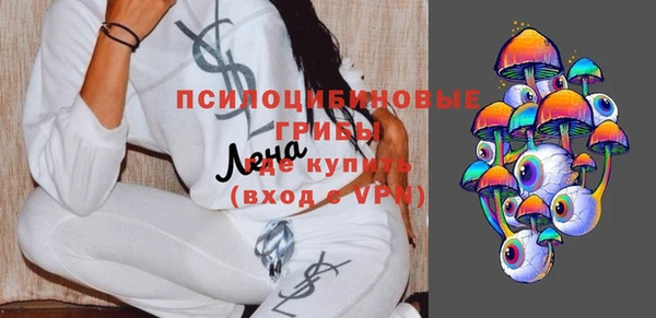 прущие грибы Балабаново