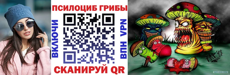 наркотики Рудня Псилоцибиновые грибы Cubensis
